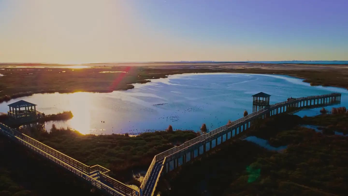 Port Aransas coastline at golden hour, with dunes, a boardwalk, and beach houses along the Gulf
