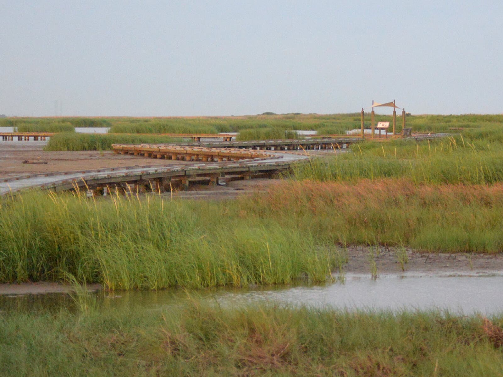 Port Aransas Nature Preserve at Charlie's Pasture